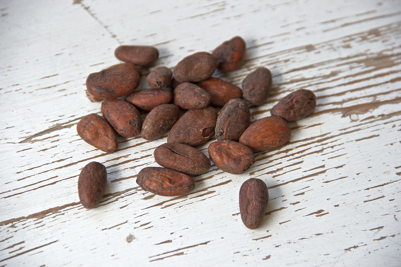 cocoa-prices-rise-as-the-pace-of-ivory-coast-cocoa-exports-slows