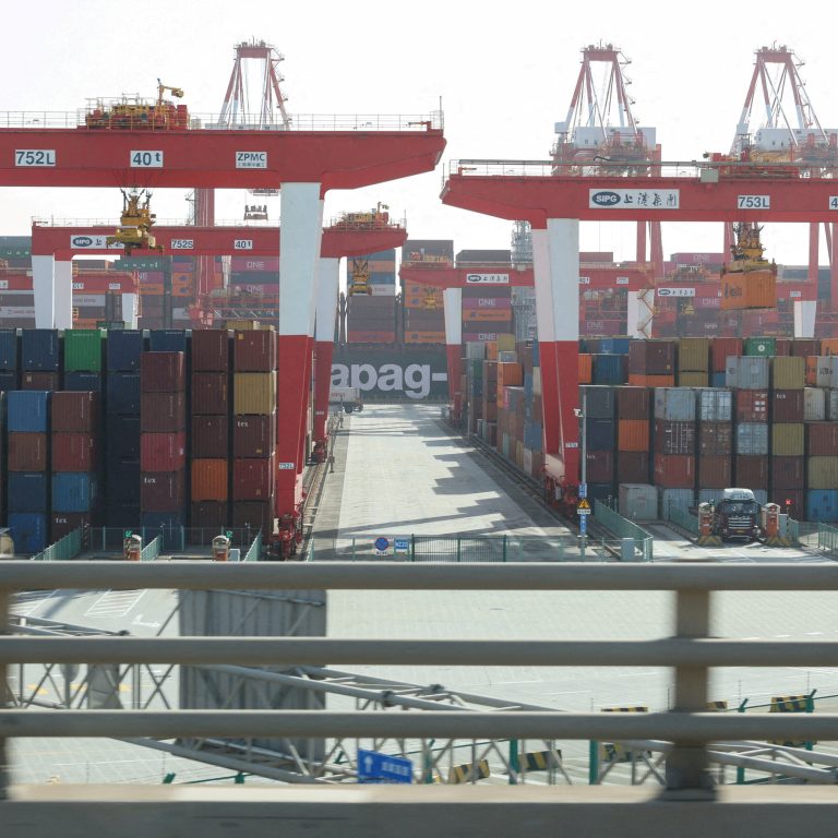 Read more about the article Will Cars, Phones and Other Goods Be Too Big to Tariff?