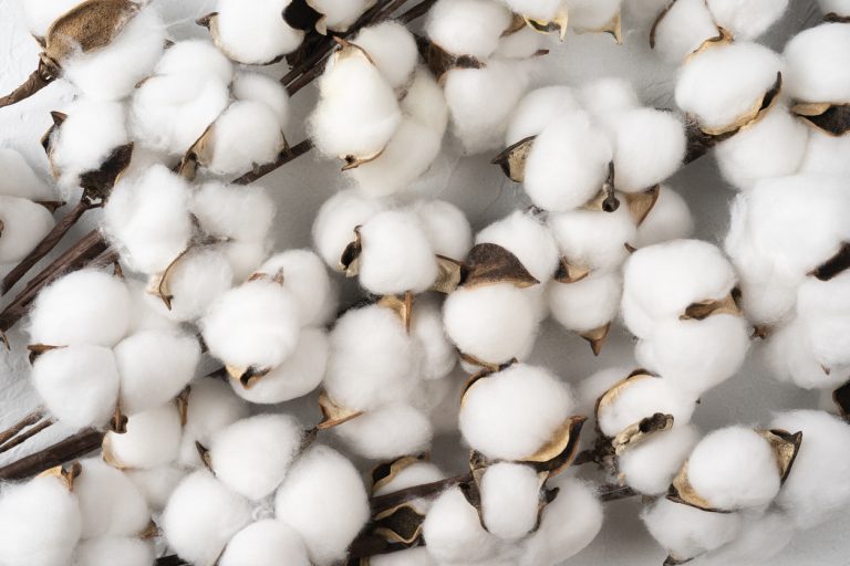 Read more about the article Cotton Weaker at Friday’s Midday