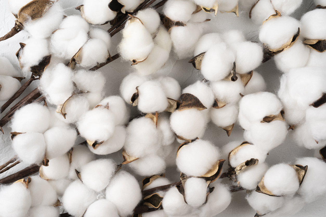 cotton-weaker-at-friday’s-midday