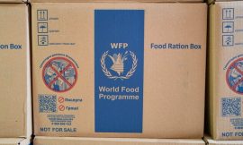 WFP to cut quarter of staff as funding falls – staff memo
