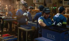 Why the Economic Disruption From Trump’s Tariff War Will Be Hard to Reverse
