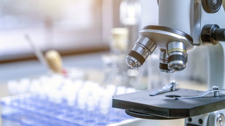 Read more about the article Cancer care at work initiative launched for employers