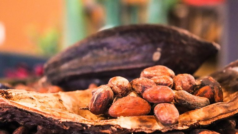 Read more about the article Cocoa Prices Recover Due to Weather Concerns in West Africa