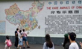 Everyone is Moving to Chengdu. What Does That Say About China’s Economy?