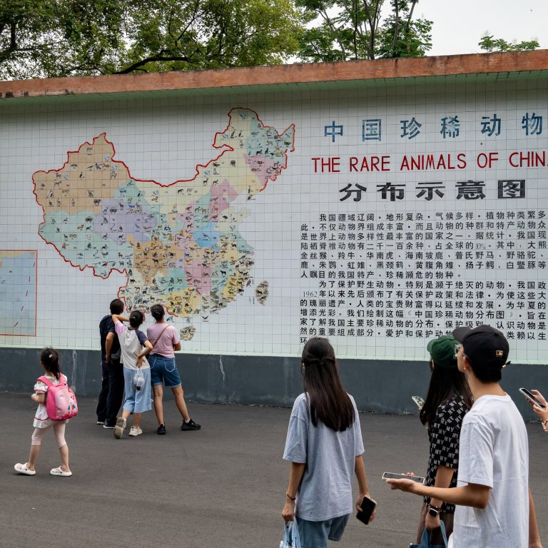 Read more about the article Everyone is Moving to Chengdu. What Does That Say About China’s Economy?