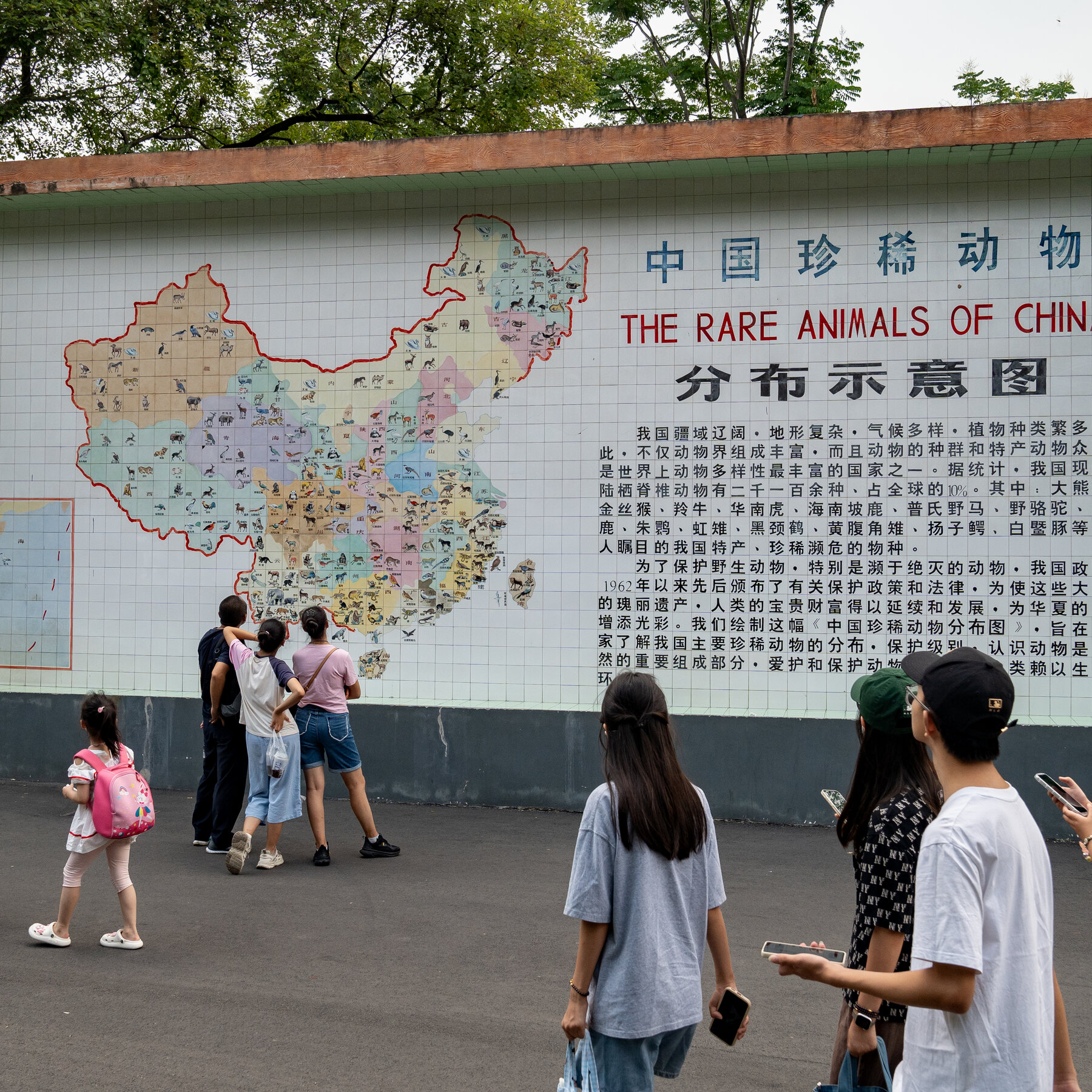 everyone-is-moving-to-chengdu.-what-does-that-say-about-china’s-economy?