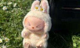 Labubu fan fury after dolls pulled from Pop Mart stores over fights