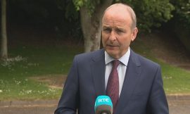 ‘Very damaging’ if Trump acts on tariff threat – Martin