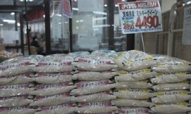 Why rice prices are soaring in Japan