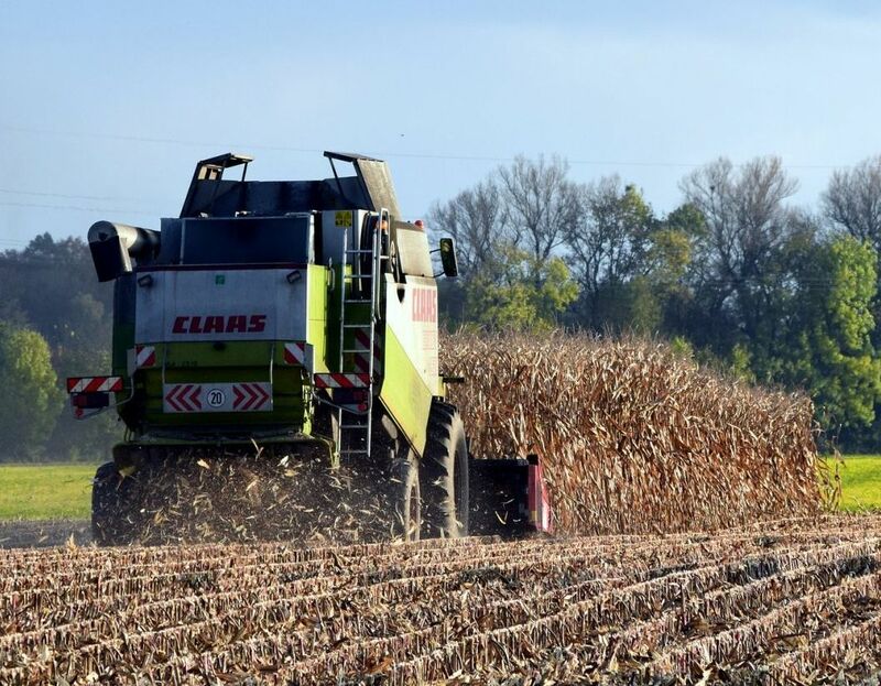 corn-falls-lower,-as-ratings-come-in-below-expectations