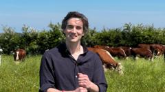 somerset-farmers-aim-to-go-green-without-sfi-grants