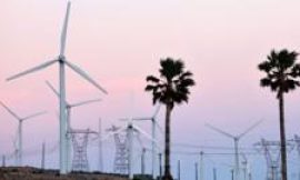 US green energy braces for federal funding cuts