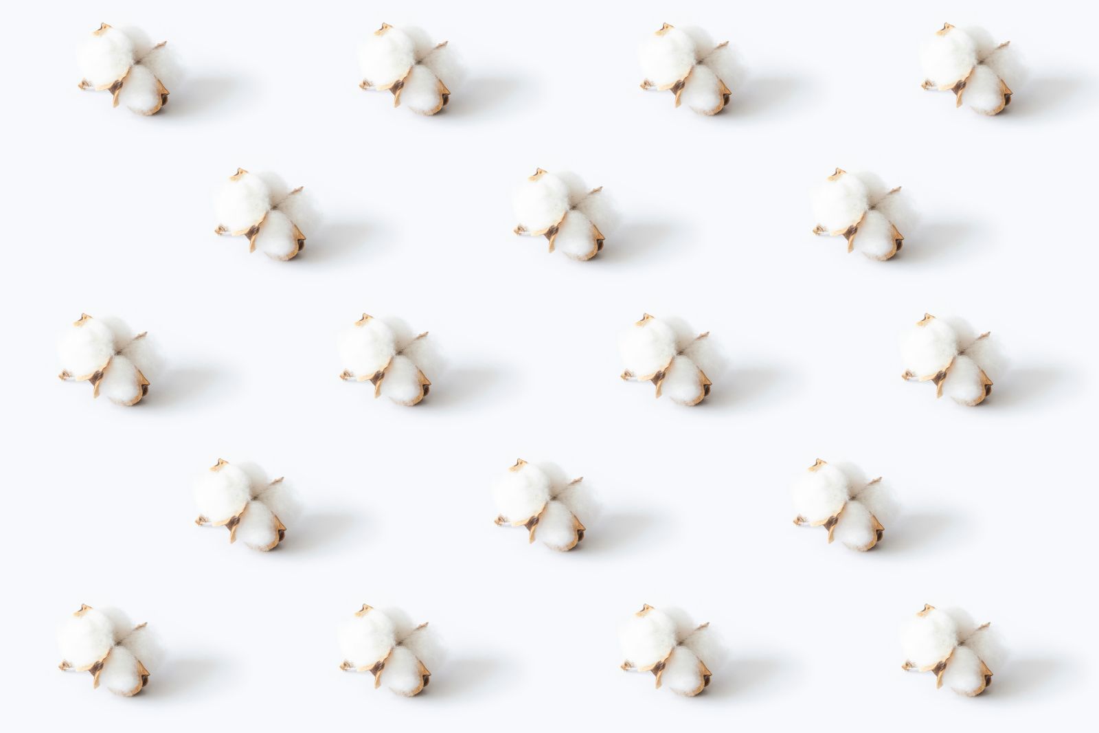 cotton-slipping-lower-at-midday