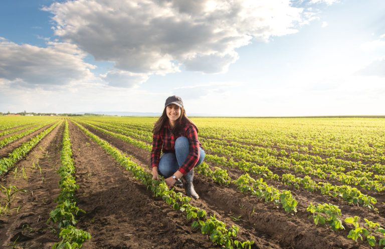 Read more about the article Soybeans Back to Higher Trade on Thursday