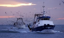 EU wins post-Brexit fishing row with Britain