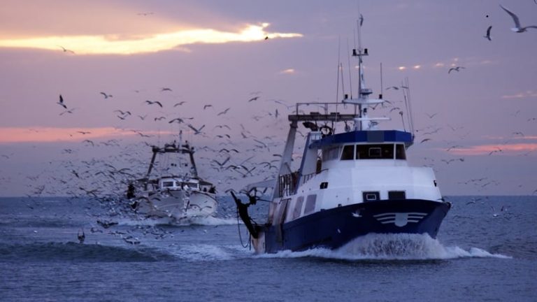Read more about the article EU wins post-Brexit fishing row with Britain