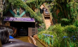 Disney’s Park Business Grows Despite Consumer Angst