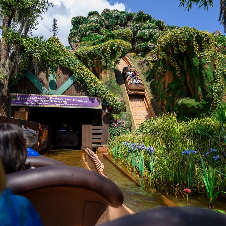 Read more about the article Disney’s Park Business Grows Despite Consumer Angst