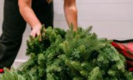 Christmas orders back on track after tariff truce