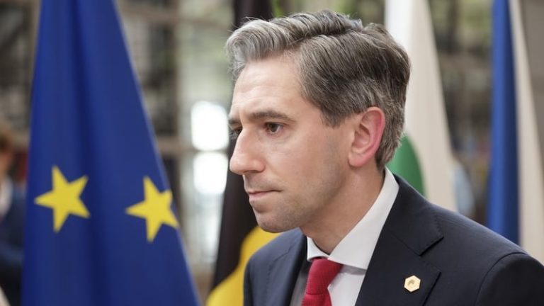 Read more about the article Tánaiste in Brussels for EU talks on trade and tariffs
