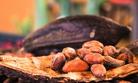 Cocoa Prices Settle Sharply Higher on Supply Concerns
