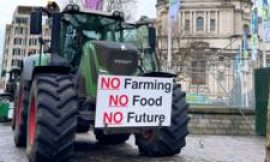 Farm inheritance tax: MPs call for year-long delay to proposals