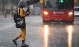 Storm damage: How to stay safe and what to do in a power cut