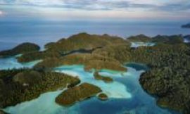 How a race for electric vehicles threatens a marine paradise