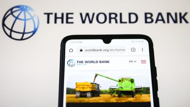 Read more about the article World Bank flags drop in FDI to developing countries