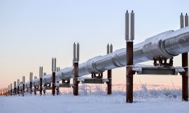 Crude Prices Retreat as Iran Seeks to End Hostilities