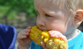Corn Edging Out Gains on Wednesday Morning