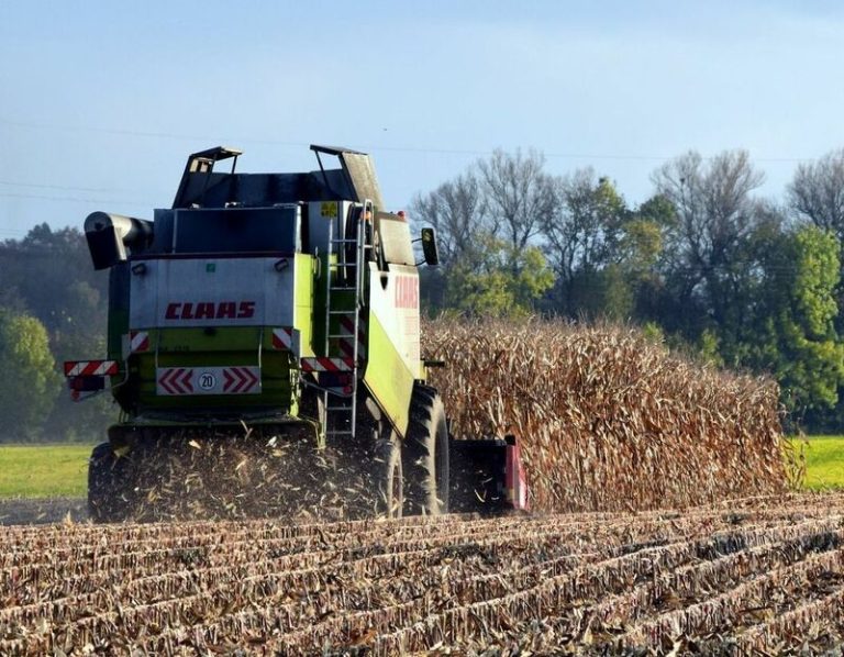 Read more about the article Corn Getting Spillover Support from Wheat