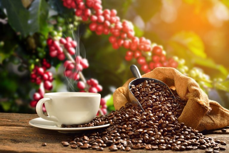 Read more about the article Coffee Prices Tumble on Brazil Coffee Harvest Pressures