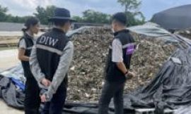 Why your old mobile phone may be polluting Thailand