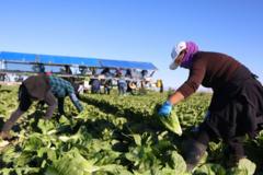 ‘we-need-these-people’:-trump’s-migrant-crackdown-has-businesses-worried