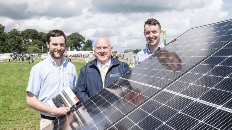 Read more about the article Dairy farmers encouraged to go solar to cut costs