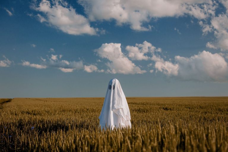 Read more about the article Wheat Losses Led by HRS Contracts