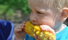Corn Showing Higher Monday AM Trade After Gapping Lower
