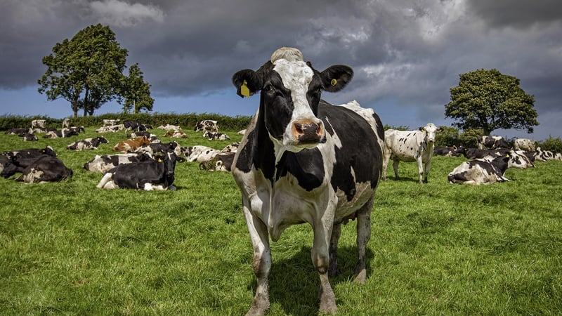 what-do-proposed-cap-changes-mean-for-irish-farmers?