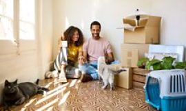 Business Daily – Home loans, different ways – BBC Sounds