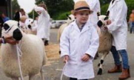 M&S backs farmers over UK Labour ministers in inheritance tax row