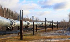 Crude Price Slip on a Mixed Weekly EIA Report