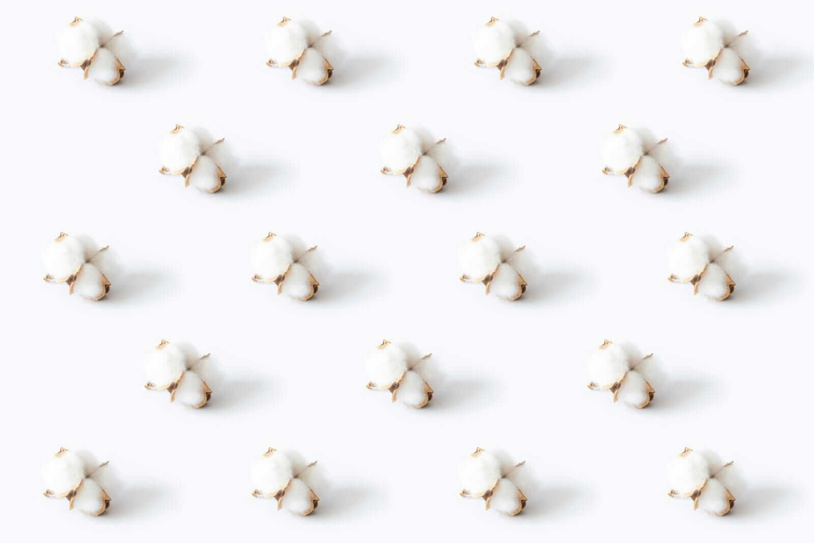 cotton-pulling-back-at-the-end-of-the-week
