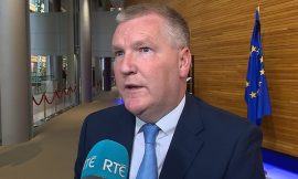 Outcome of EU-US tariff talks ‘not certain’ – McGrath