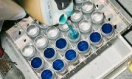 Could aluminium become the packaging ‘champion’?