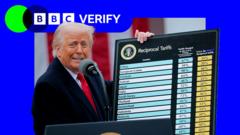 how-much-cash-is-the-us-raising-from-tariffs?