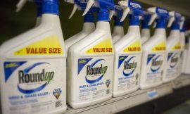 Bayer adds $1.37 billion to Roundup litigation reserves