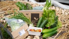 mid-copeland-low-income-families-offered-vegetable-boxes
