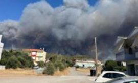 Greece wildfires: What to do if holiday affected, according to experts